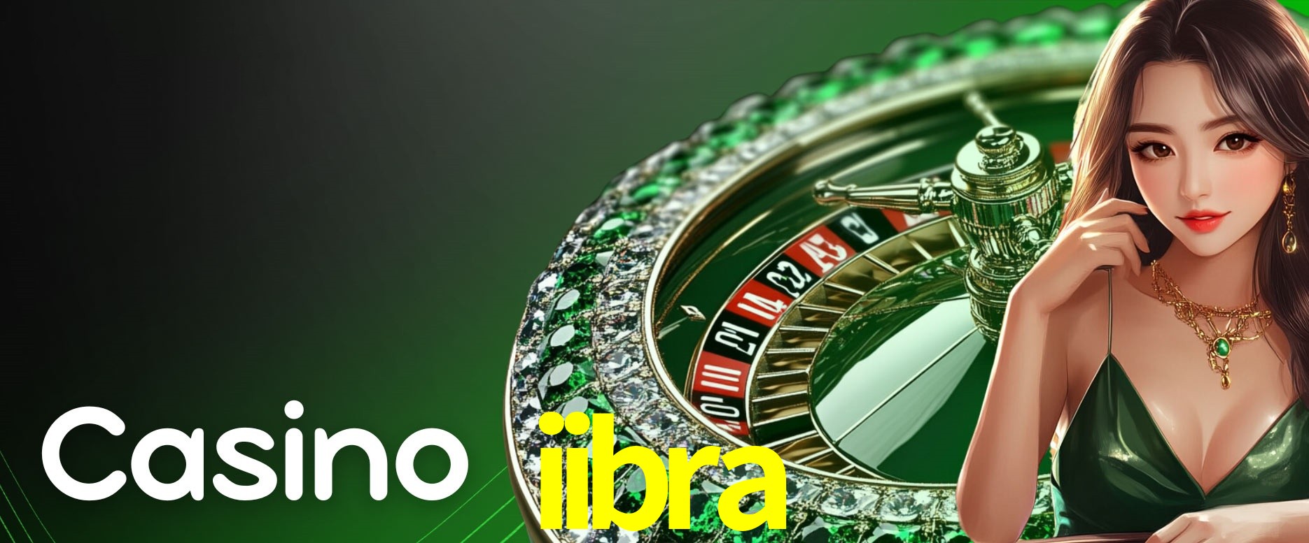 Security Systems iibra